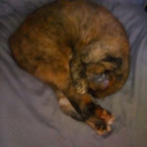 Meet your Posher, Sandra